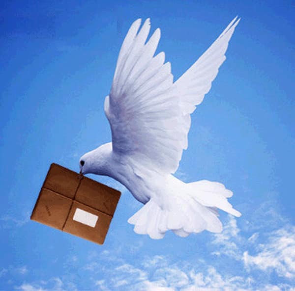 post